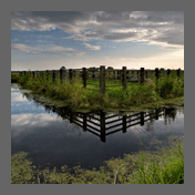avalon marshes